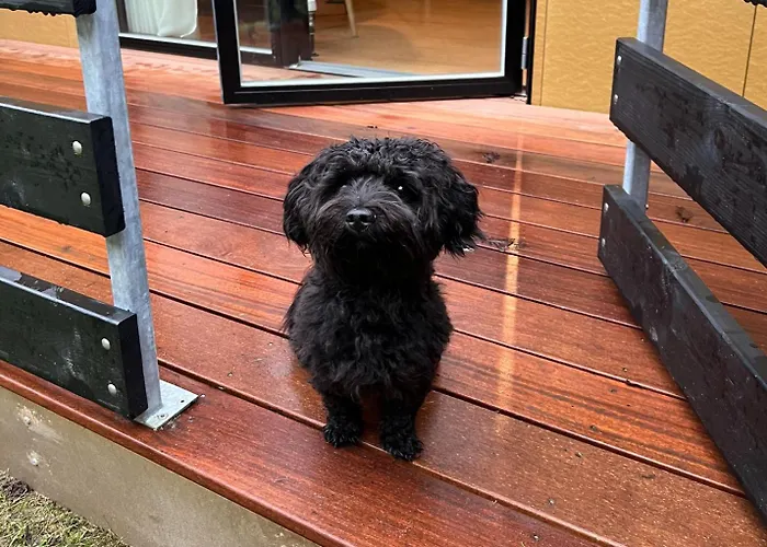 Hotel Fjordgaarden - - - Konference