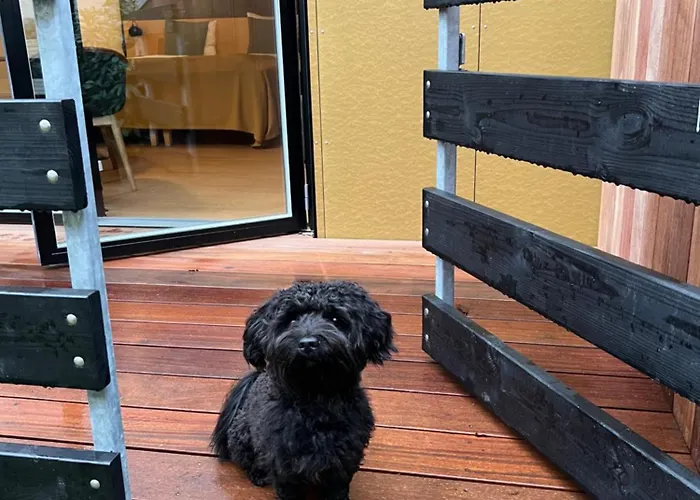 Fjordgaarden - - - Konference 4*