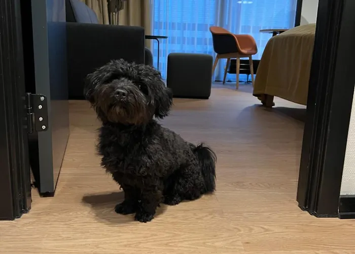 Fjordgaarden - - - Konference Hotel